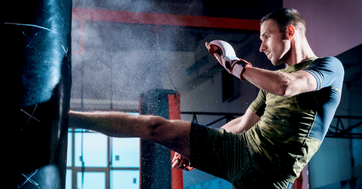 Martial arts software programs
