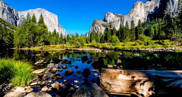 Yosemite National Park